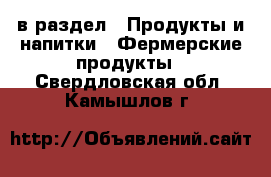  в раздел : Продукты и напитки » Фермерские продукты . Свердловская обл.,Камышлов г.